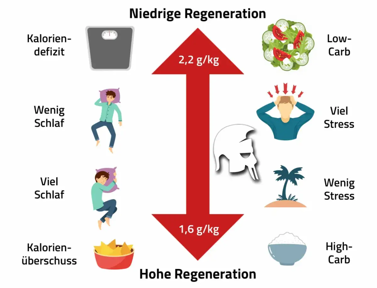 Muskelaufbau: Ihr Fahrplan für Training, Ernährung & Erfolg