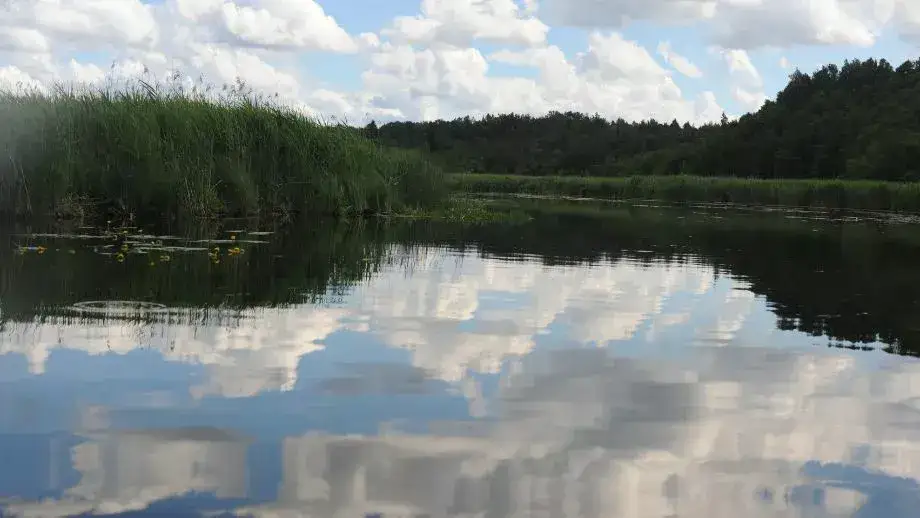 Jezioro Hańcza położenie: odkryj tajemnice jego wyjątkowej lokalizacji
