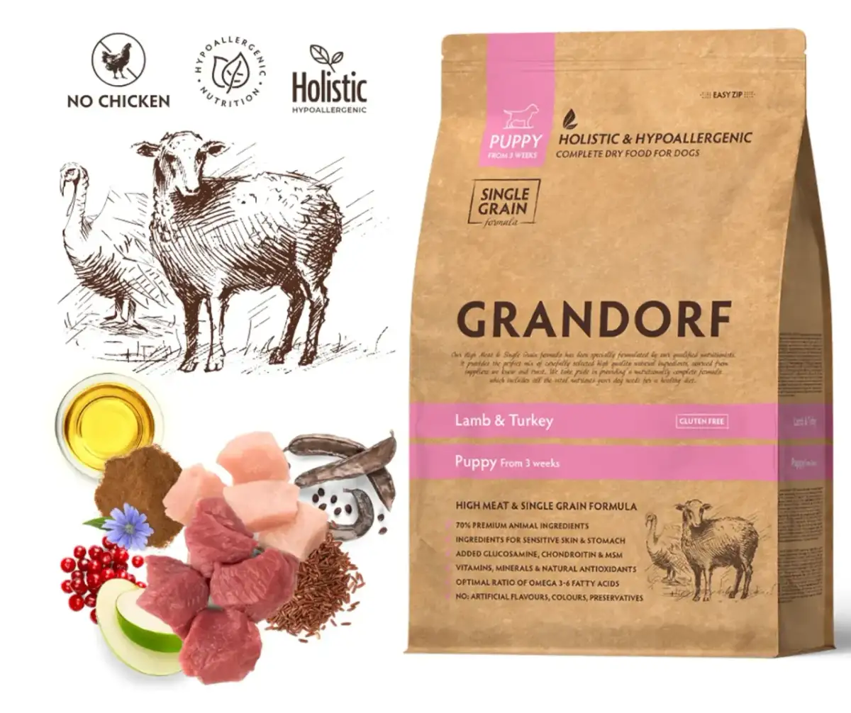 Karma dla szczeniaka pomeraniana: wybierz idealną dietę dla Boo!