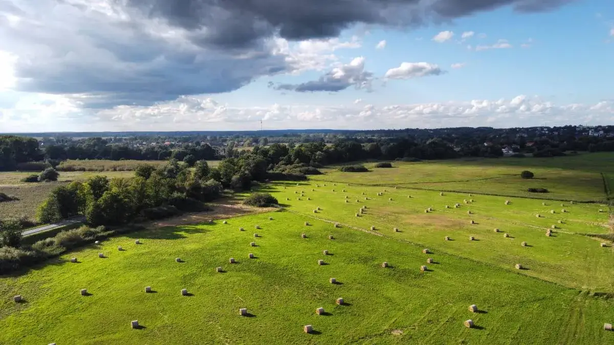 Najlepsze atrakcje w Krosnie Odrzańskim, które musisz zobaczyć