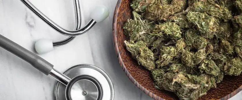 Medyczna marihuana na co pomaga? Sprawdź jej skuteczne zastosowania