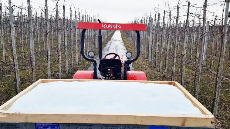Kiedy siać nawozy, aby uniknąć błędów i zwiększyć plony?