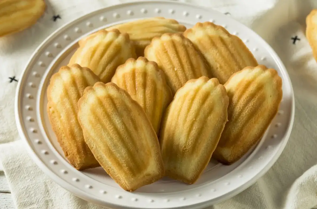 Gdzie kupić ciastka magdalenki? Sklepy, marki, ceny w Polsce