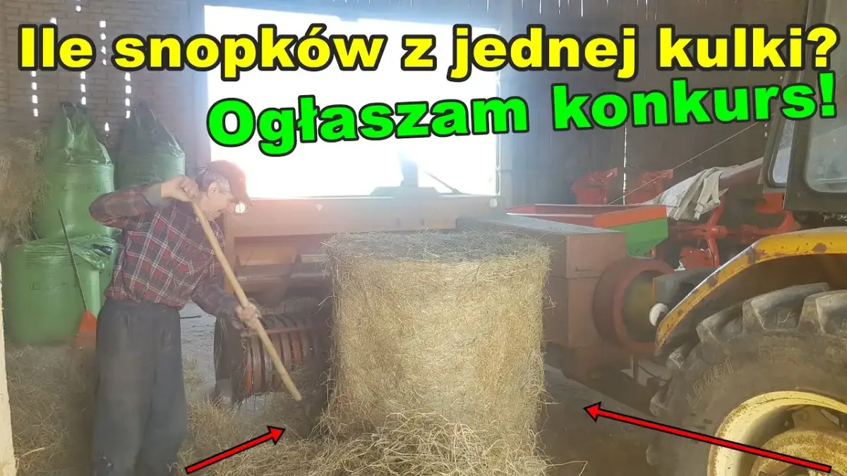 Ile kostek siana jest w balocie? Zaskakujące fakty i różnice