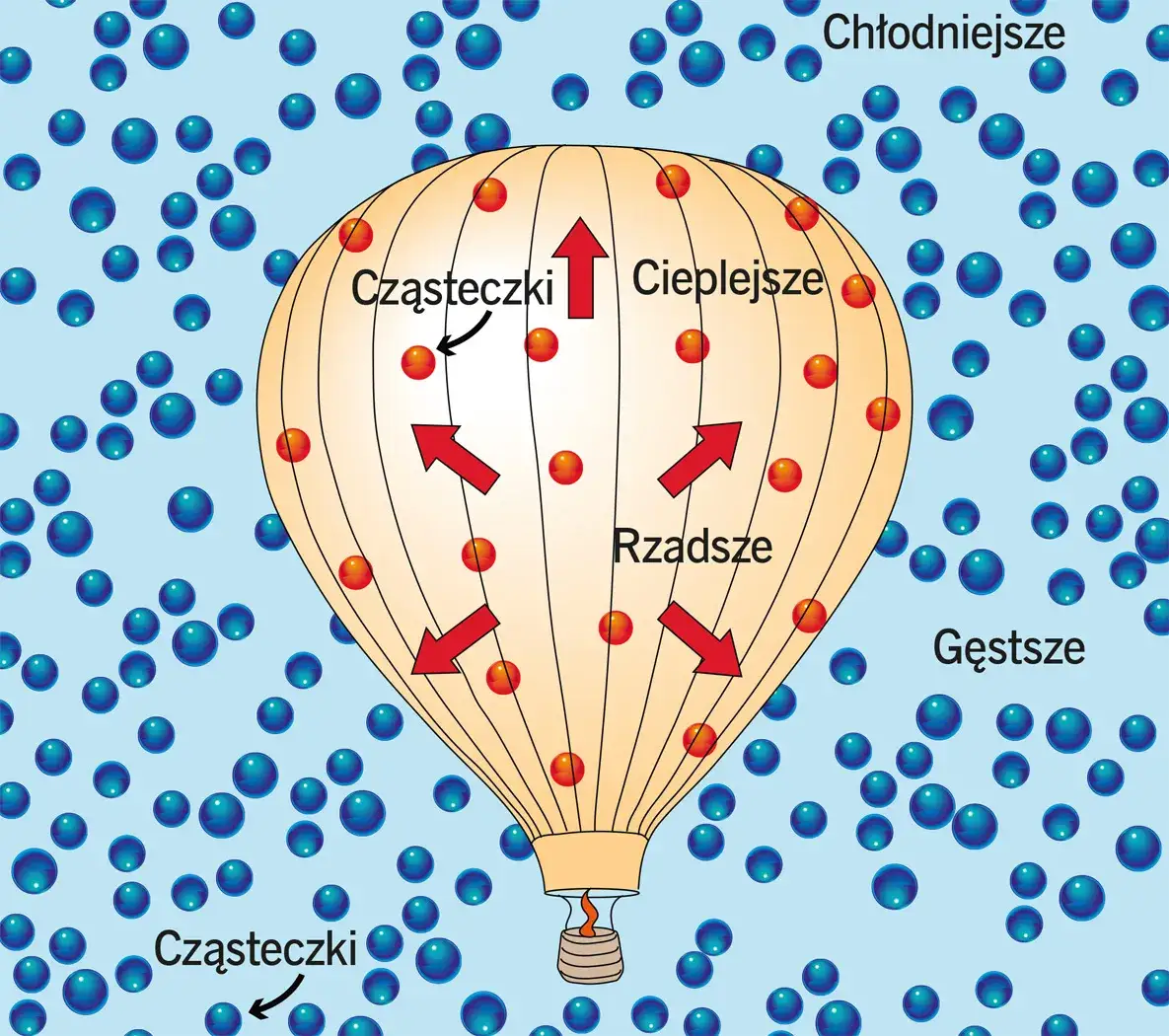 Cyce jak balony - co naprawdę oznacza ten slang i jego kontekst?