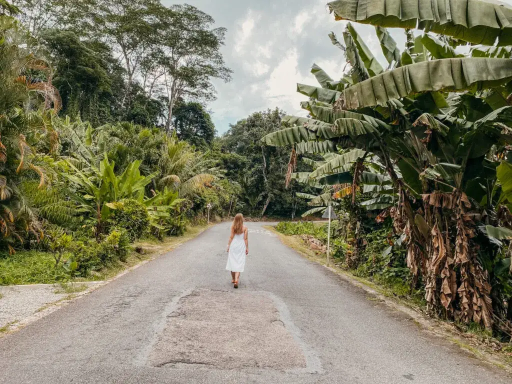 Ile trwa lot na Seszele z Warszawy? Poznaj czas i trasy podróży