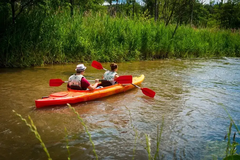 Spływ kajakowy Obrocz-Zwierzyniec: Trasa idealna dla każdego!