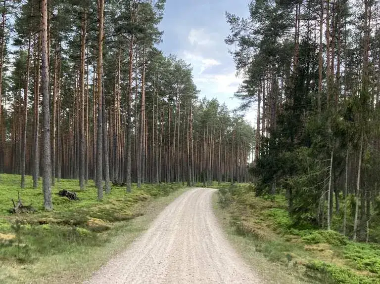 Atrakcje w Dziemianach, które zaskoczą każdego turystę