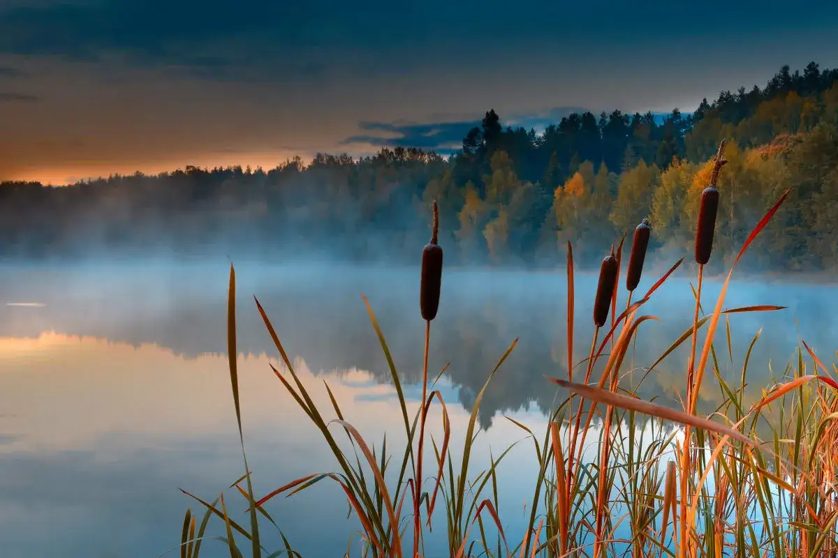 Jezioro Radgoskie - idealne miejsce na wypoczynek i relaks