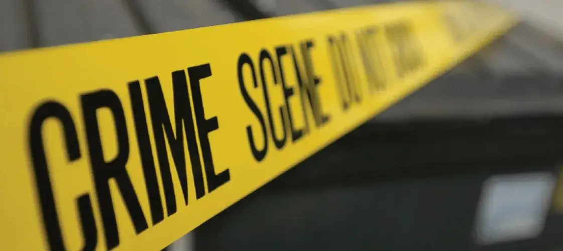 Kryminalistyka: Jakie przedmioty na maturze wybrać? Przewodnik