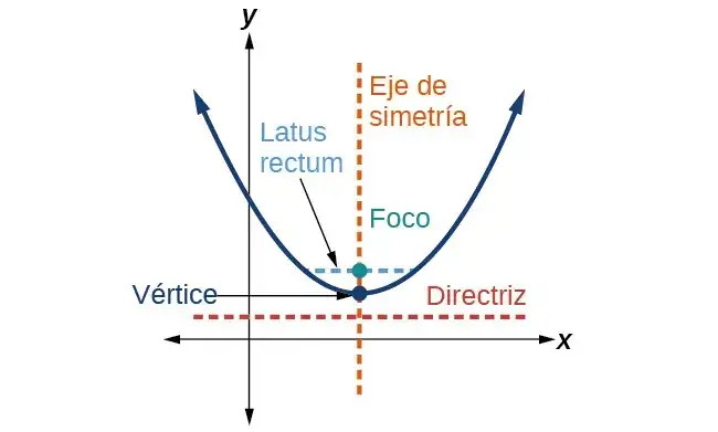 Todo lo que necesitas saber sobre la parábola en matemáticas