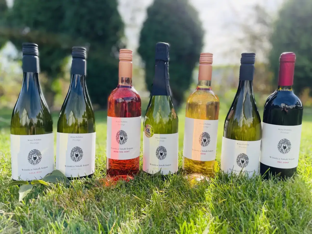 Polskie wina gdzie kupić: najlepsze miejsca i winnice w Polsce