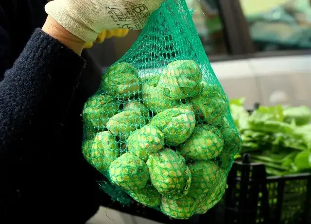 Kiedy jest sezon na brukselkę? Sprawdź najlepszy czas na zakupy