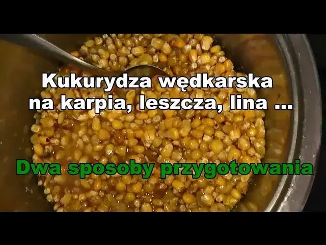Kukurydza na ryby: Sekrety wyboru i przygotowania skutecznej przynęty