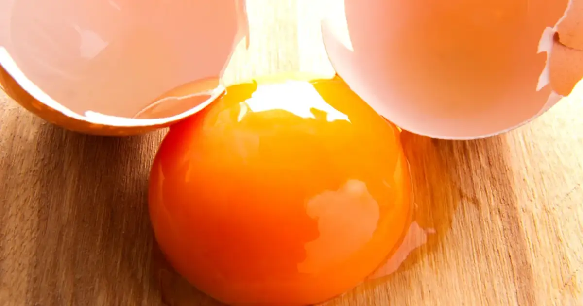 Salmonelloza: Jak uniknąć zakażenia? Porady ekspertki Sylwii Wróblewskiej