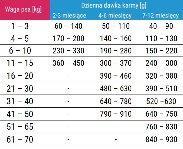 Ile karmy dla szczeniaka? Precyzyjne tabele dla zdrowego wzrostu