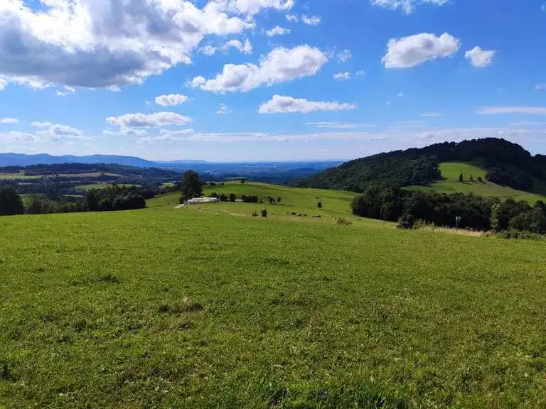 Najlepsze atrakcje w Skoczowie, które musisz odwiedzić na weekend