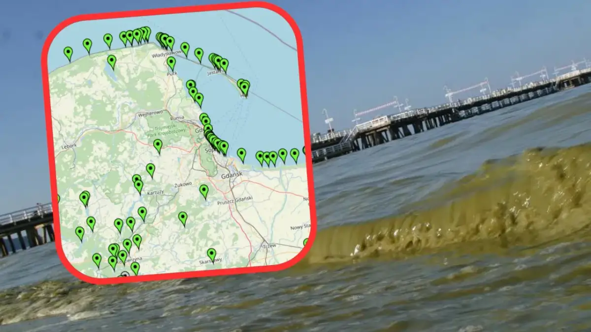 Sinice w Bałtyku dziś: Sprawdź mapę GIS i kąp się bezpiecznie
