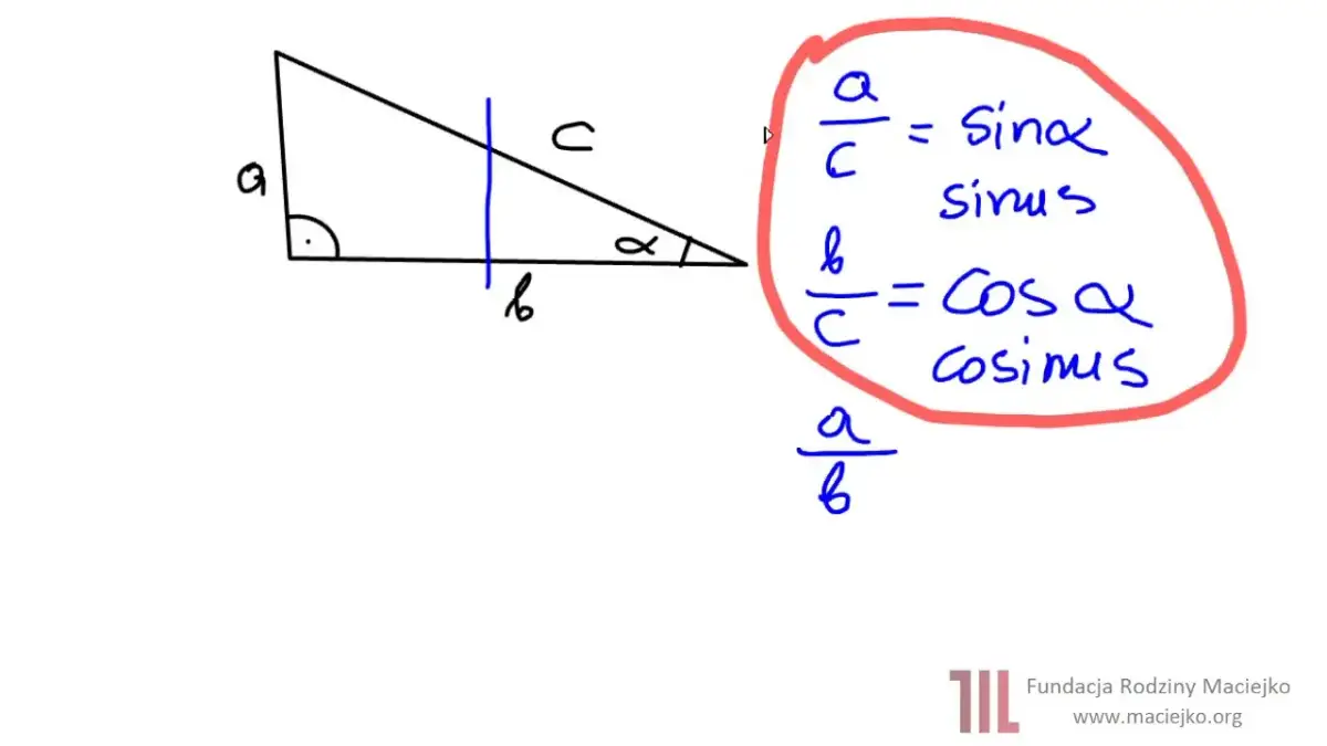 Sinus: Obliczanie krok po kroku. Zrozum i unikaj błędów!