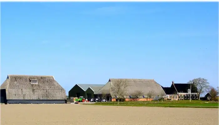 Rolnik a podatek od nieruchomości: Czy Twój dom jest zwolniony?