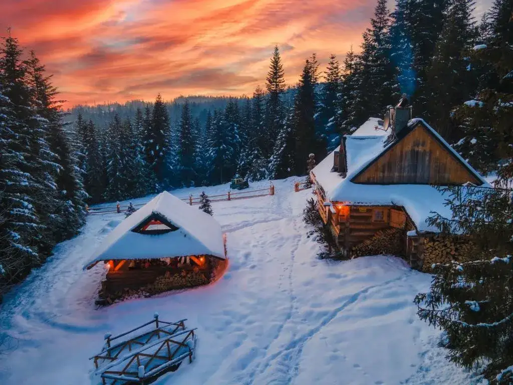 Leśna Bacówka Nowy Targ: Ucieczka w las? Co musisz wiedzieć!