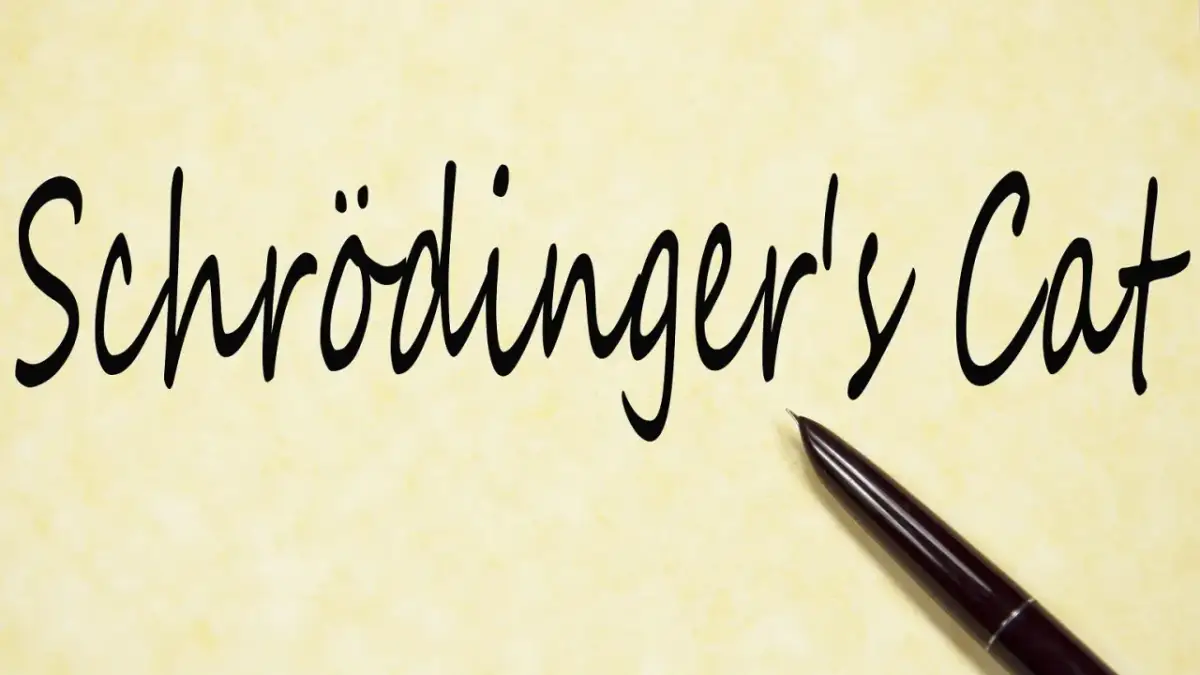 Kot Schrödingera: Żywy czy martwy? Proste wyjaśnienie paradoksu