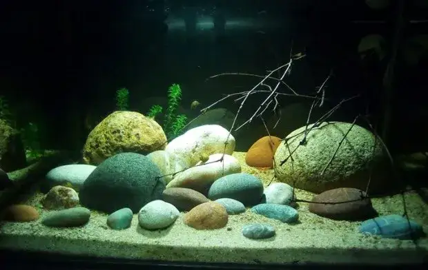 Jak wymiary dna akwarium wpływają na poziom wody i pojemność?
