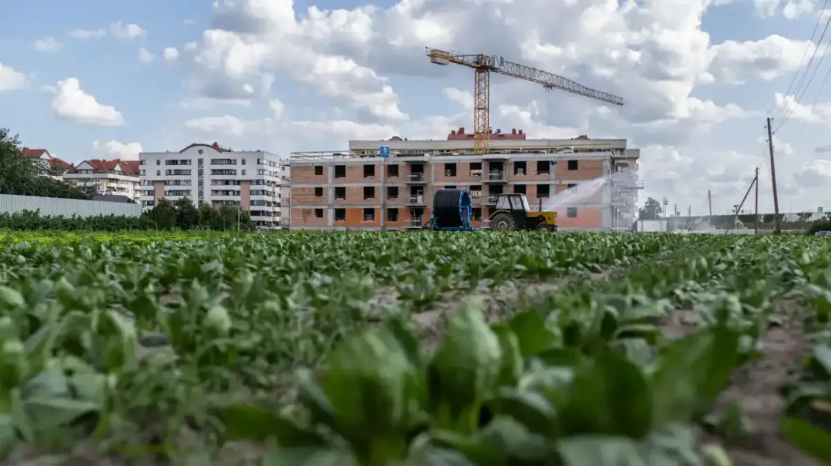 Co robi deweloper i jakie ma kluczowe obowiązki w branży nieruchomości