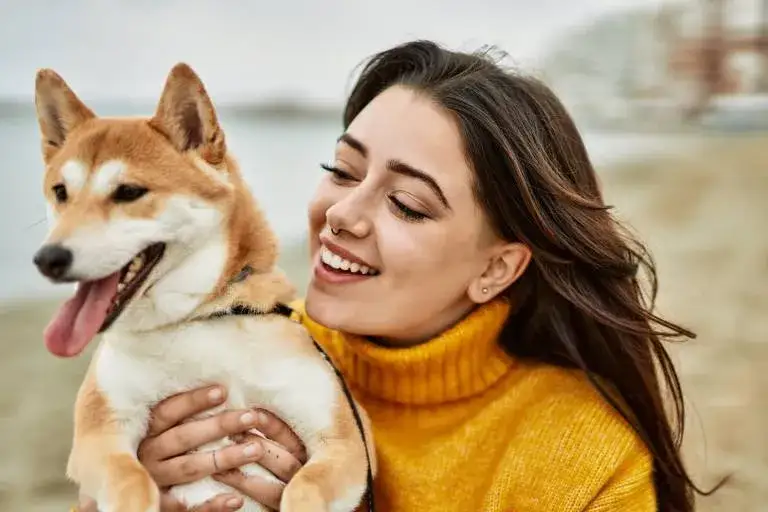 Jak wybrać psa pluszowego jak żywego? Pełny poradnik