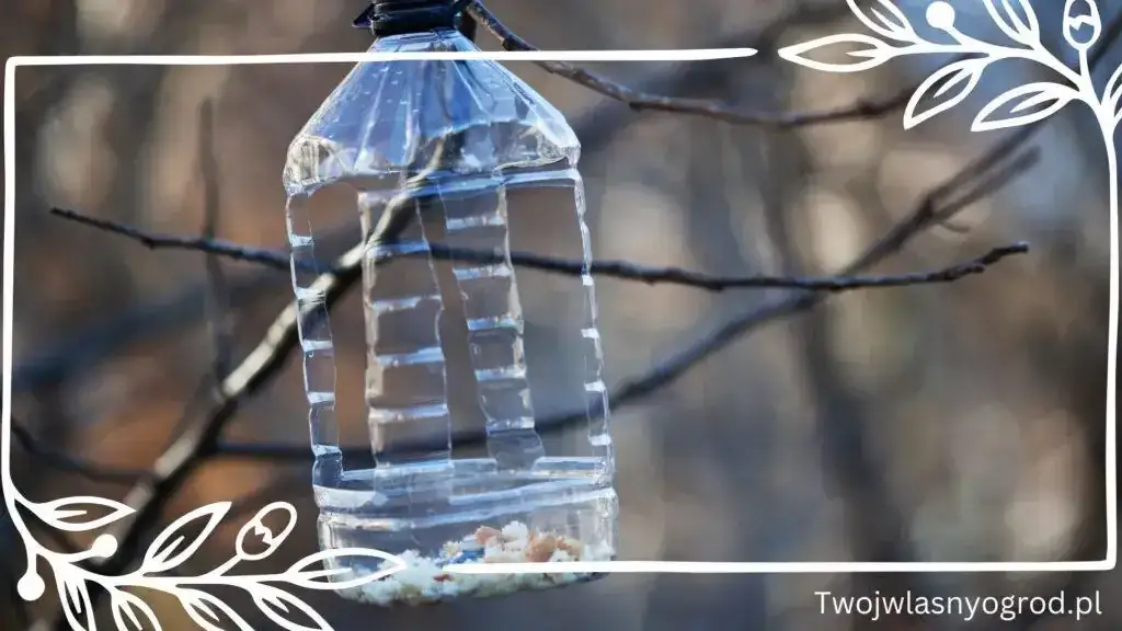 Jak zrobić poidło dla królika z butelki? Krok po kroku i tanio