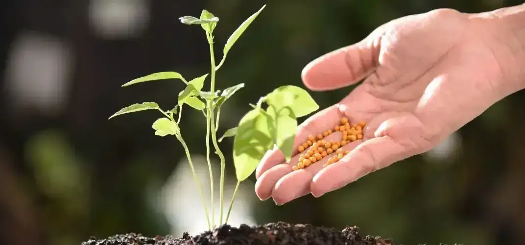 Jaki nawóz ma najwięcej azotu? Odkryj najlepsze opcje dla roślin