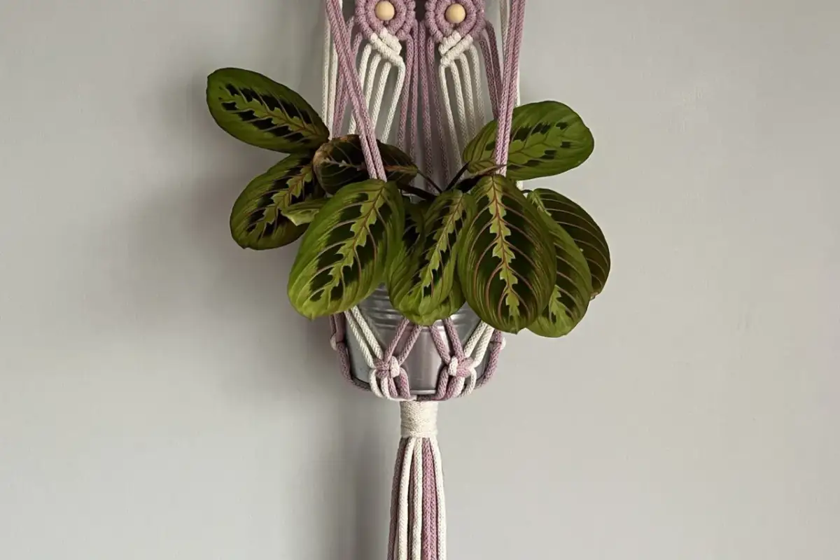 Kwietnik DIY: Drewno, makrama, metal stwórz unikalną ozdobę!