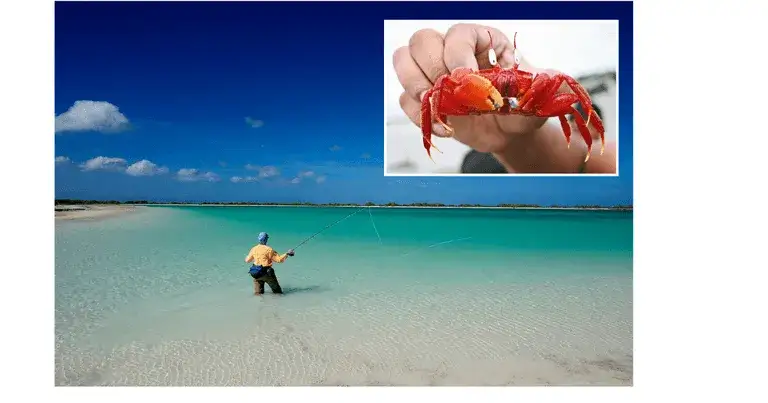 Gdzie leży wyspa Bożego Narodzenia? Odkryj jej niezwykłą lokalizację