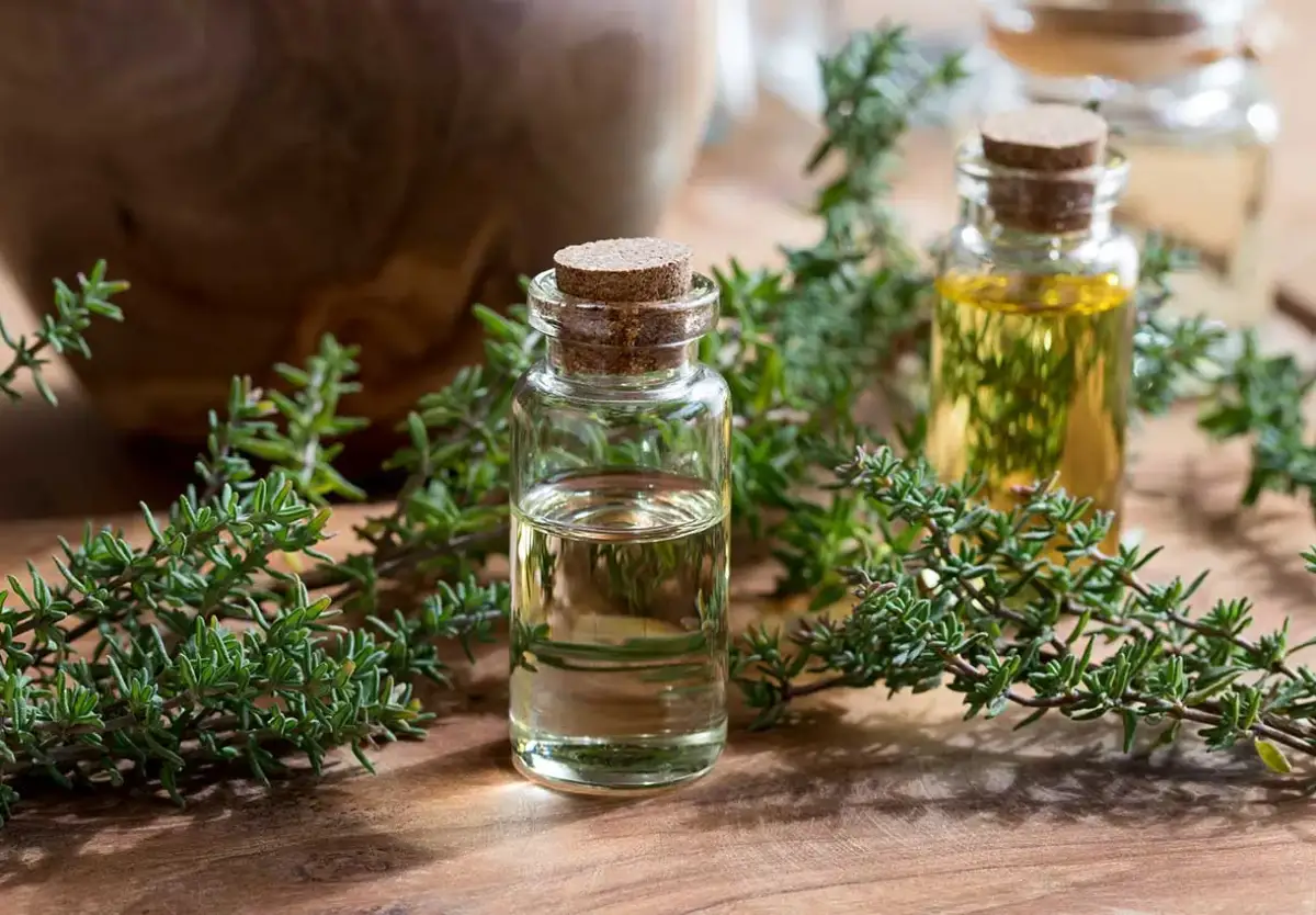 Jak zrobić olejek tymiankowy w domu - prosty przepis na zdrowie