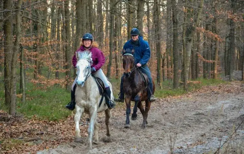 Stadnina koni Nawojowa - najlepsze stajnie i opinie jeźdźców