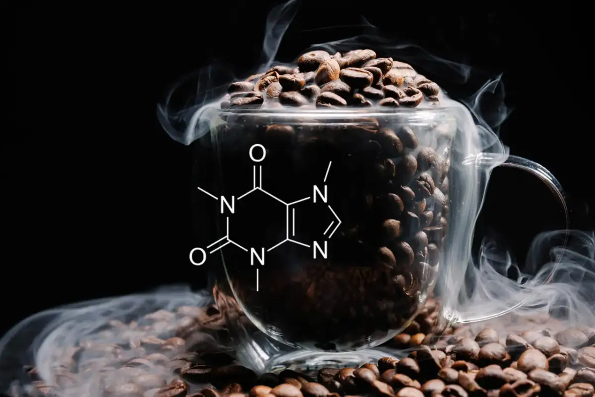 Amfetamina i kofeina: Czy wiesz, jak niszczą serce i mózg?