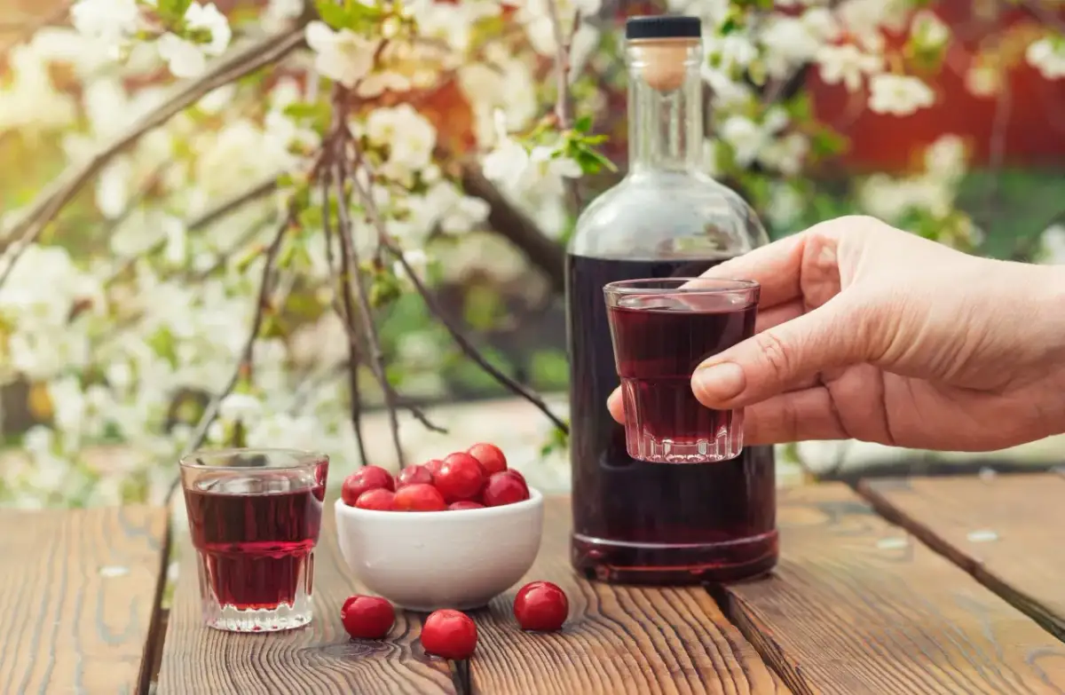 Nalewka z czereśni jak zrobić – prosty przepis na wyjątkowy trunek