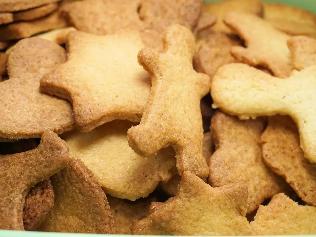 Jak upiec kruche ciastka, które rozpływają się w ustach?