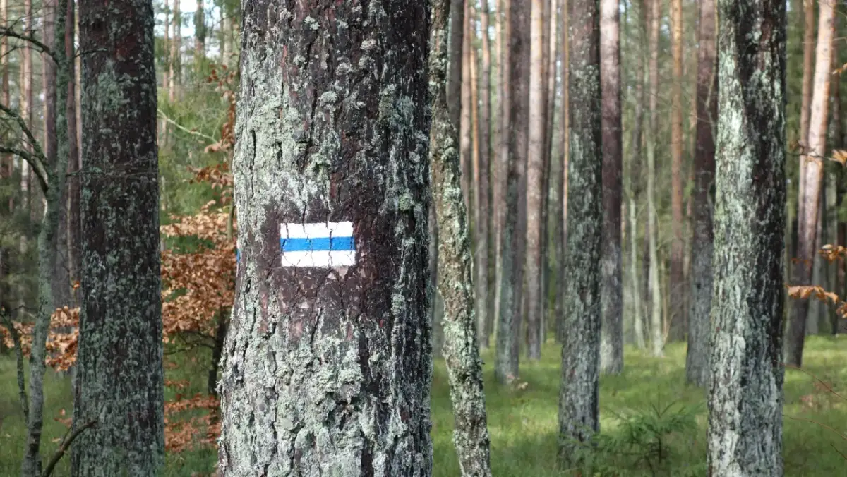Niebieski szlak PTTK: Długość czy trudność? Prawda o oznakowaniu