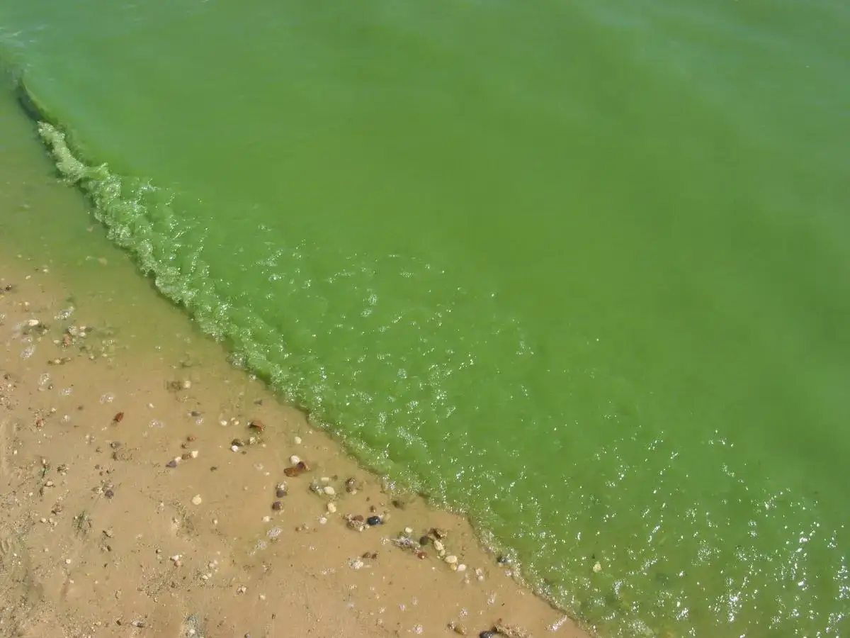 Woda w Bałtyku: Słoność, temperatura, sinice i prądy. Co musisz wiedzieć?