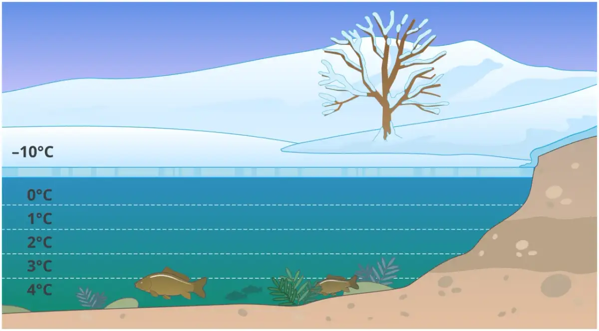 Woda: Esencja życia. Niezwykłe właściwości, bez których nie przetrwasz