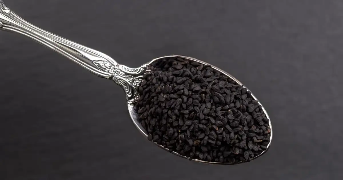 Czarnuszka dla ptaków: Czy to dobry pomysł? Ekspert radzi!