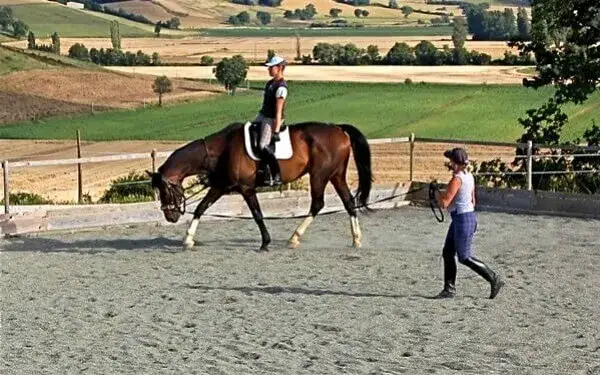 Świadome jeździectwo: Odkryj etyczne podejście do jazdy konnej
