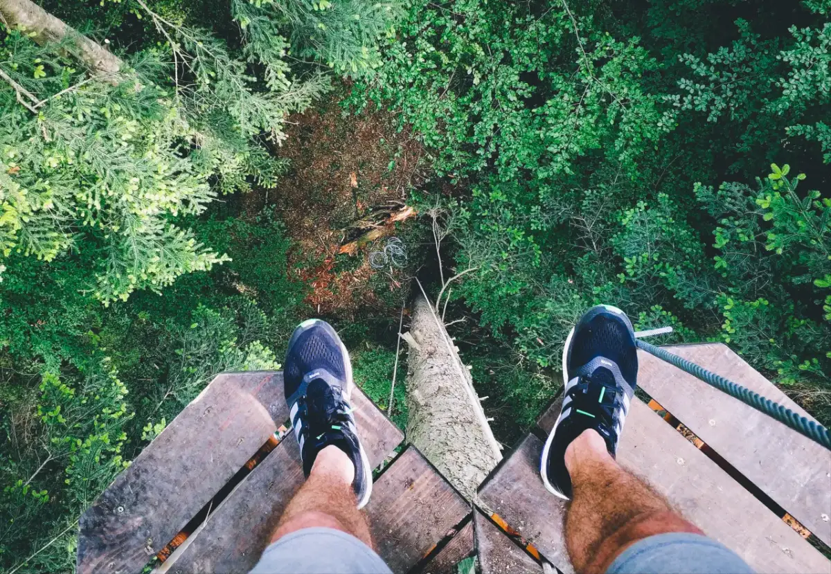 Najwyższy park linowy w Polsce - wyjątkowe przeszkody na wysokości