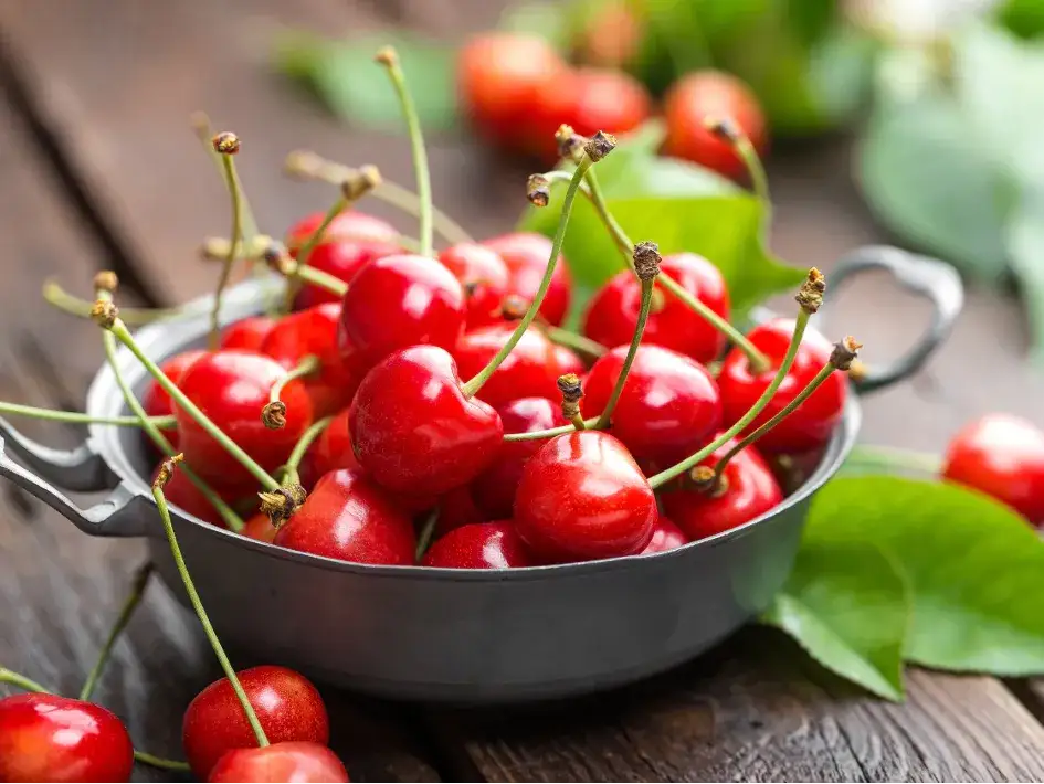 Kiedy opryskiwać czereśnie, aby uniknąć szkodników i chorób?