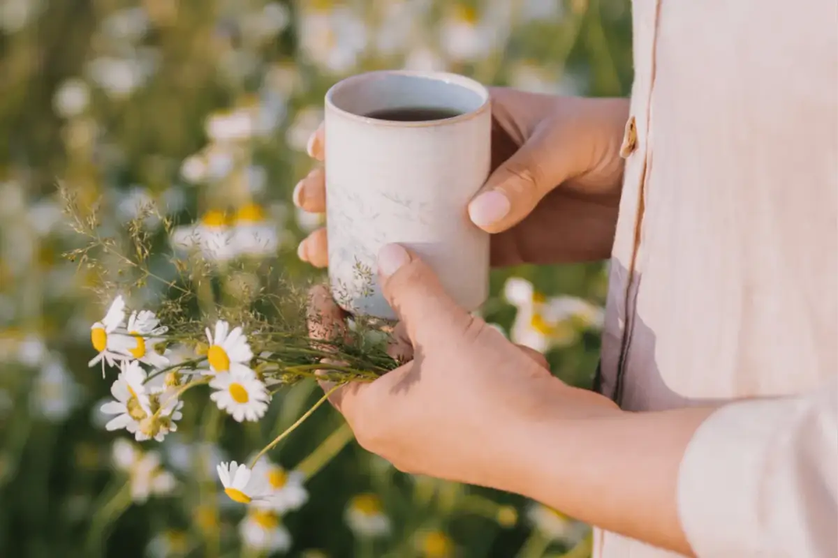 Jaka herbata na noc? Odkryj najlepsze napary na spokojny sen