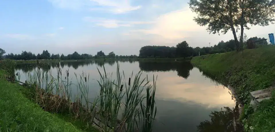 Łowisko u Gancza: Idealne miejsce na udane wędkowanie w Rudej Wołoskiej