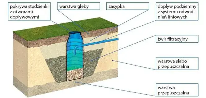 Jak odprowadzić wodę z działki i uniknąć problemów z wilgocią