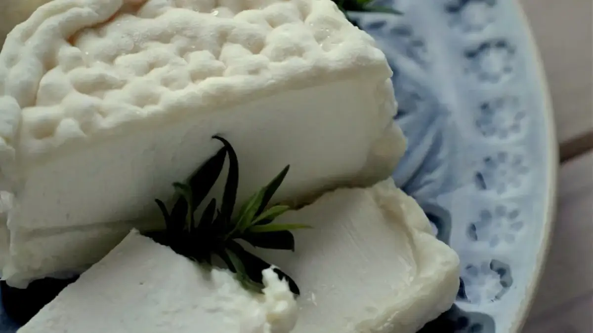 Ser kozi pleśniowy: wyjątkowe smaki i sekrety produkcji