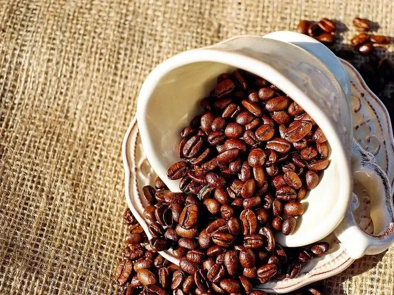 Ile trwa odwyk od kawy i jak przetrwać objawy odstawienia kofeiny?